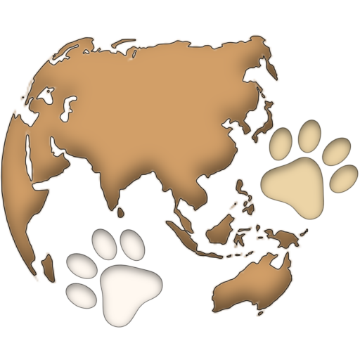 Co-Pilots with Paws - ‘Two cats, one van, zero furniture’