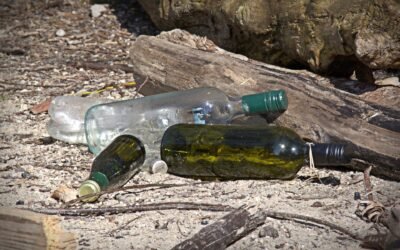 Our Environmental and Ethical Blueprint