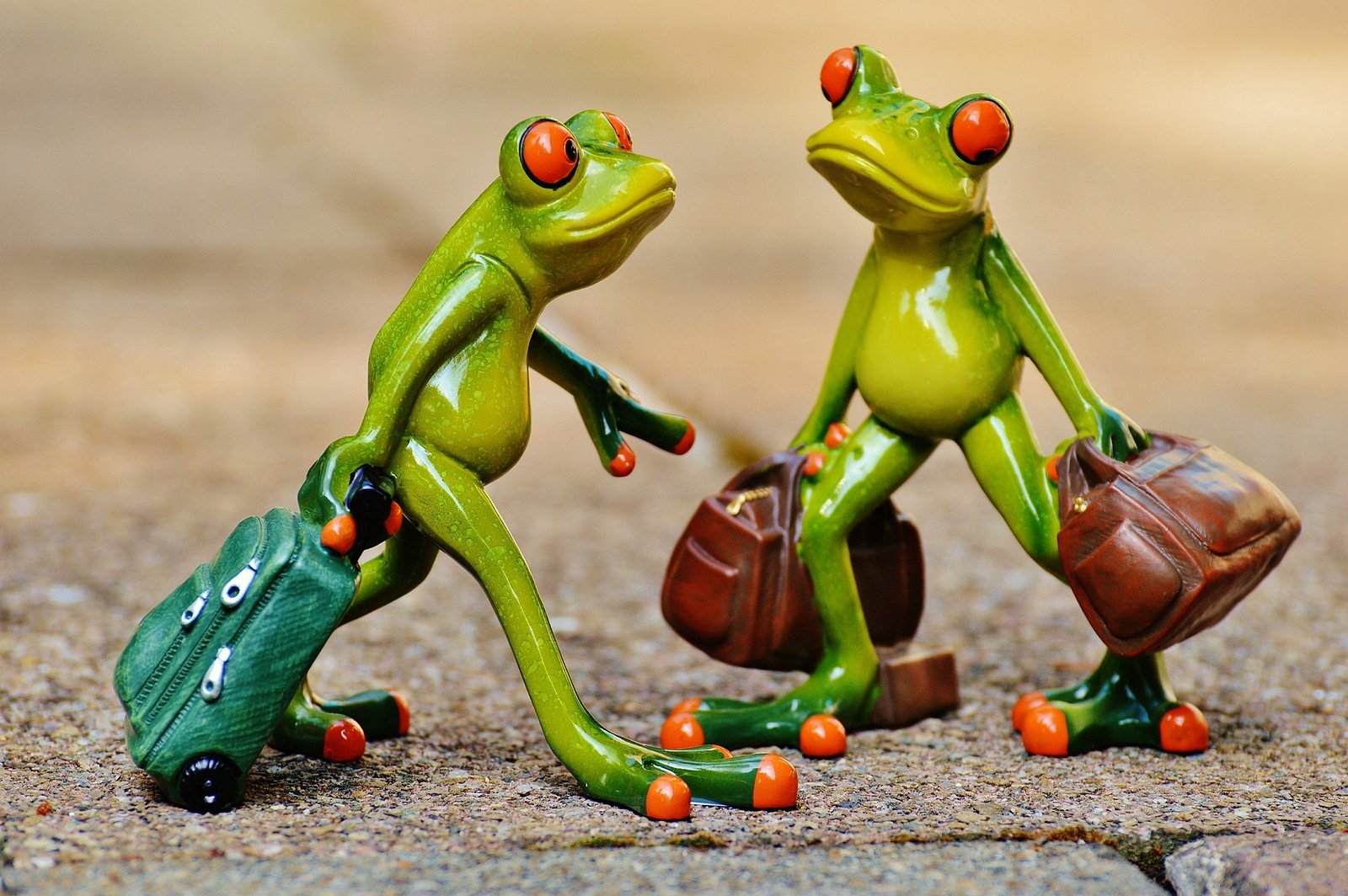 frogs-together The Call to Co-Create