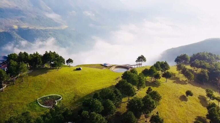 594714955 1353175923273387 7963488579785245697 n 768x432