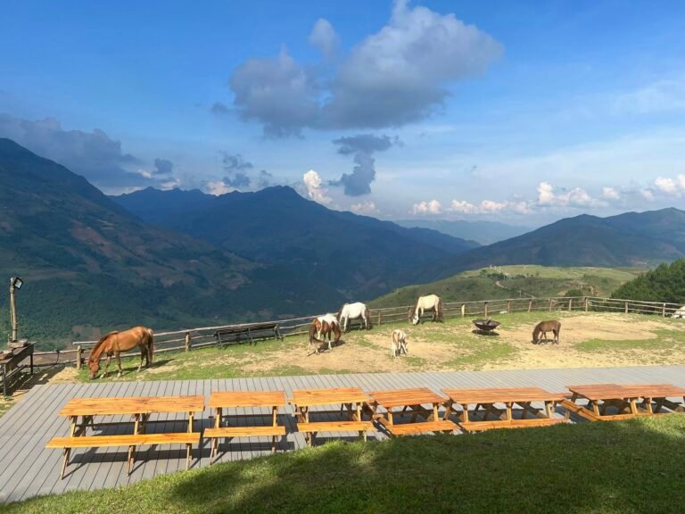 595100673 1353176013273378 9028148642175502666 n 768x576