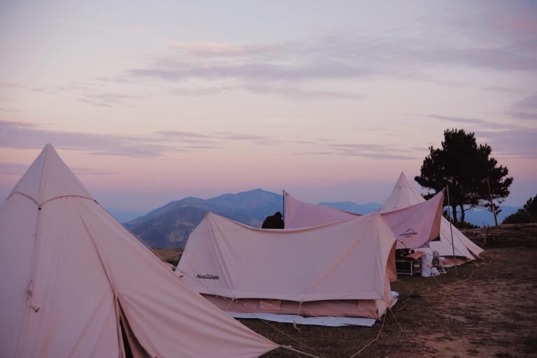 615367482 1381520203772292 720093084458693390 n 768x512