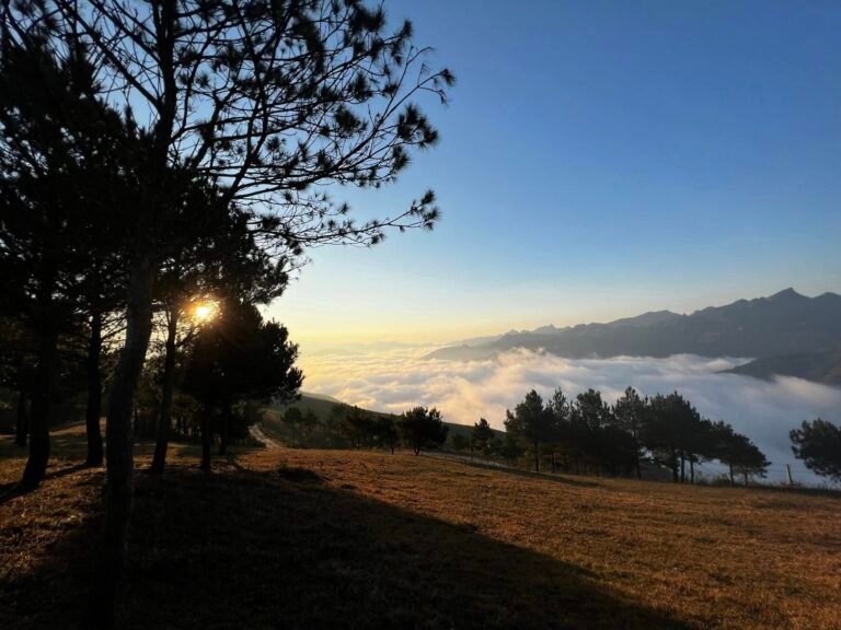 615416742 1381520253772287 2013908248206716728 n 768x576