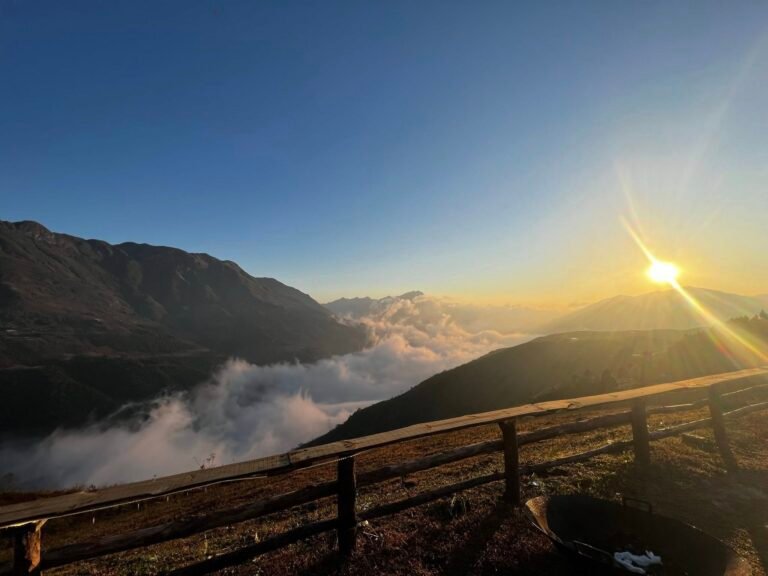 615955011 1381520177105628 9222859405697885346 n 768x576