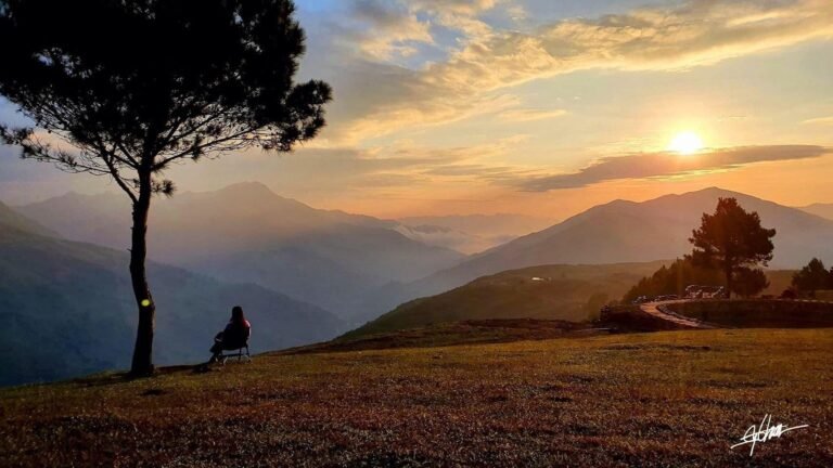 616248664 1381520163772296 2792519140657378866 n 768x432