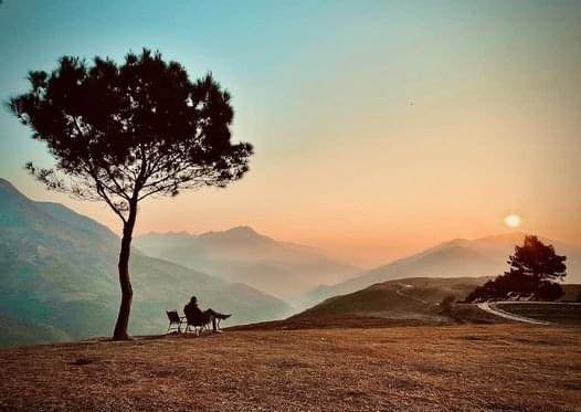 617062411 1381519083772404 8953295239354178613 n